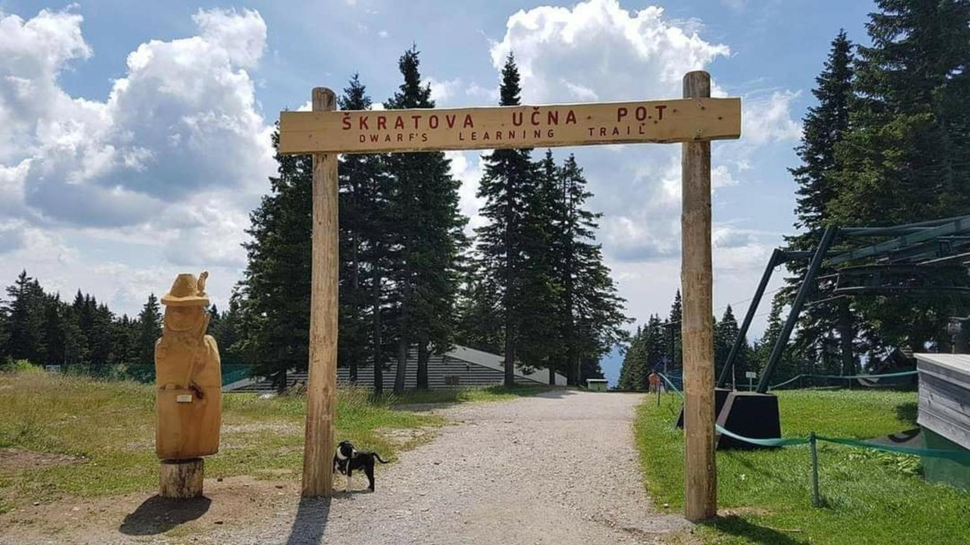 Rogla - Chalet Mojca Pokrajculja Зрече Екстер'єр фото