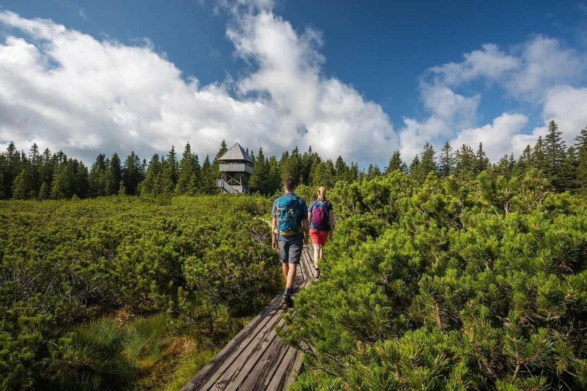 Rogla - Chalet Mojca Pokrajculja Зрече Екстер'єр фото