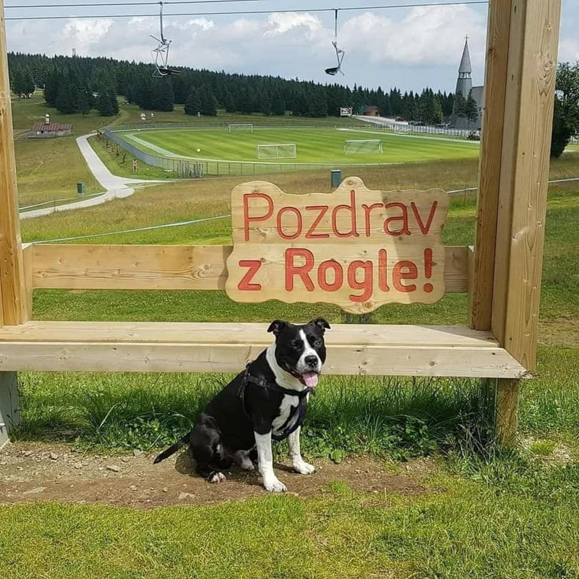 Rogla - Chalet Mojca Pokrajculja Зрече Екстер'єр фото