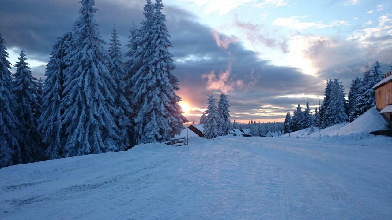 Rogla - Chalet Mojca Pokrajculja Зрече Екстер'єр фото